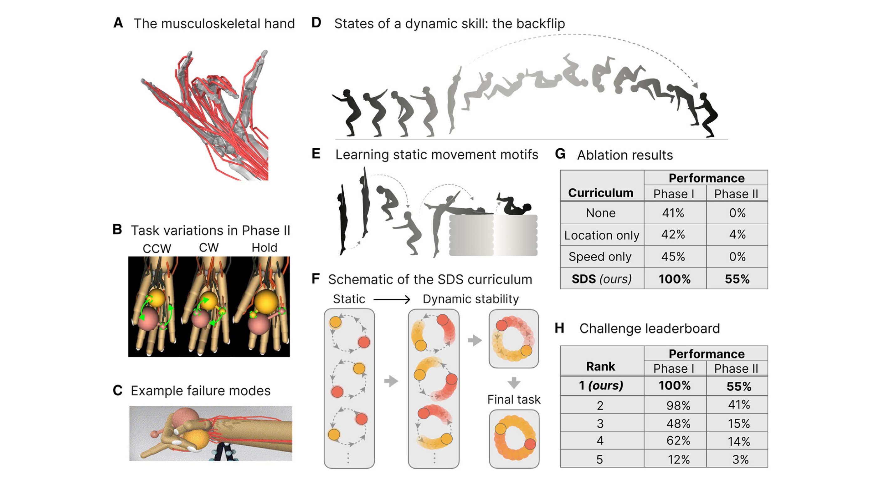 Acquiring musculoskeletal skills with curriculum-based reinforcement learning