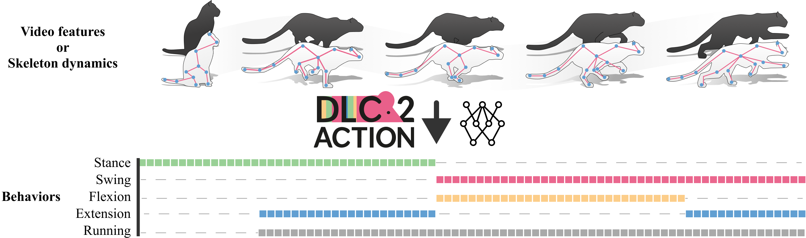 DLC2Action: A Deep Learning-based Toolbox for Automated Behavior Segmentation