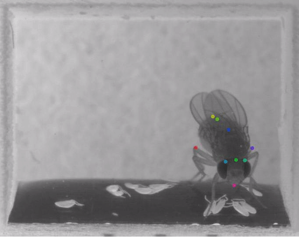 Machine Learning for Behavior Analysis - Figure 3