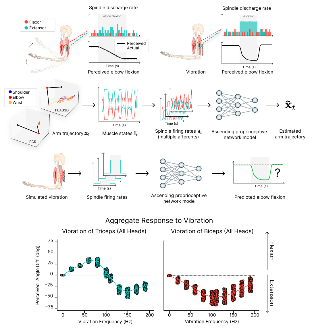 Task-driven Models of Proprioception - Figure 1