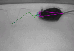 Machine Learning for Behavior Analysis - Figure 2