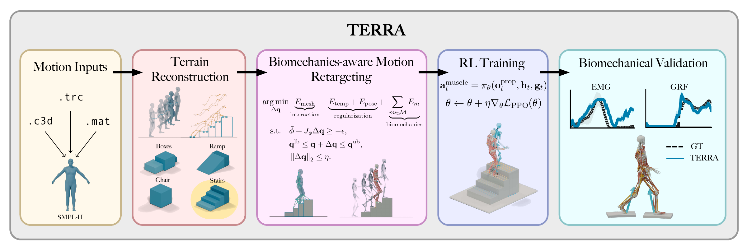 TERRA pipeline: heterogeneous motion inputs are converted to SMPL-H, terrain is reconstructed, motion is retargeted with biomechanical constraints, and reinforcement learning trains muscle-actuated control, followed by EMG and ground-reaction-force validation.